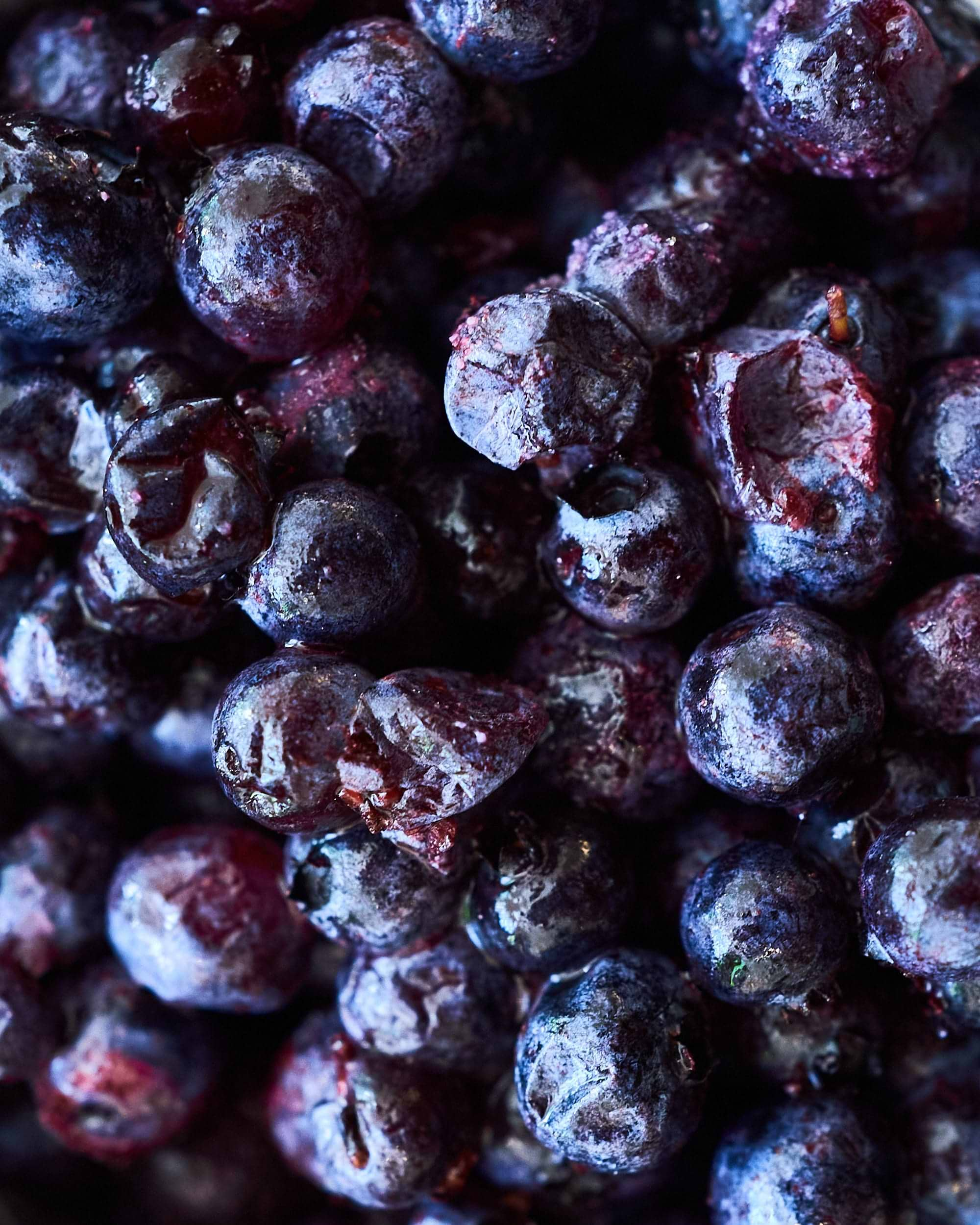 wild blueberries